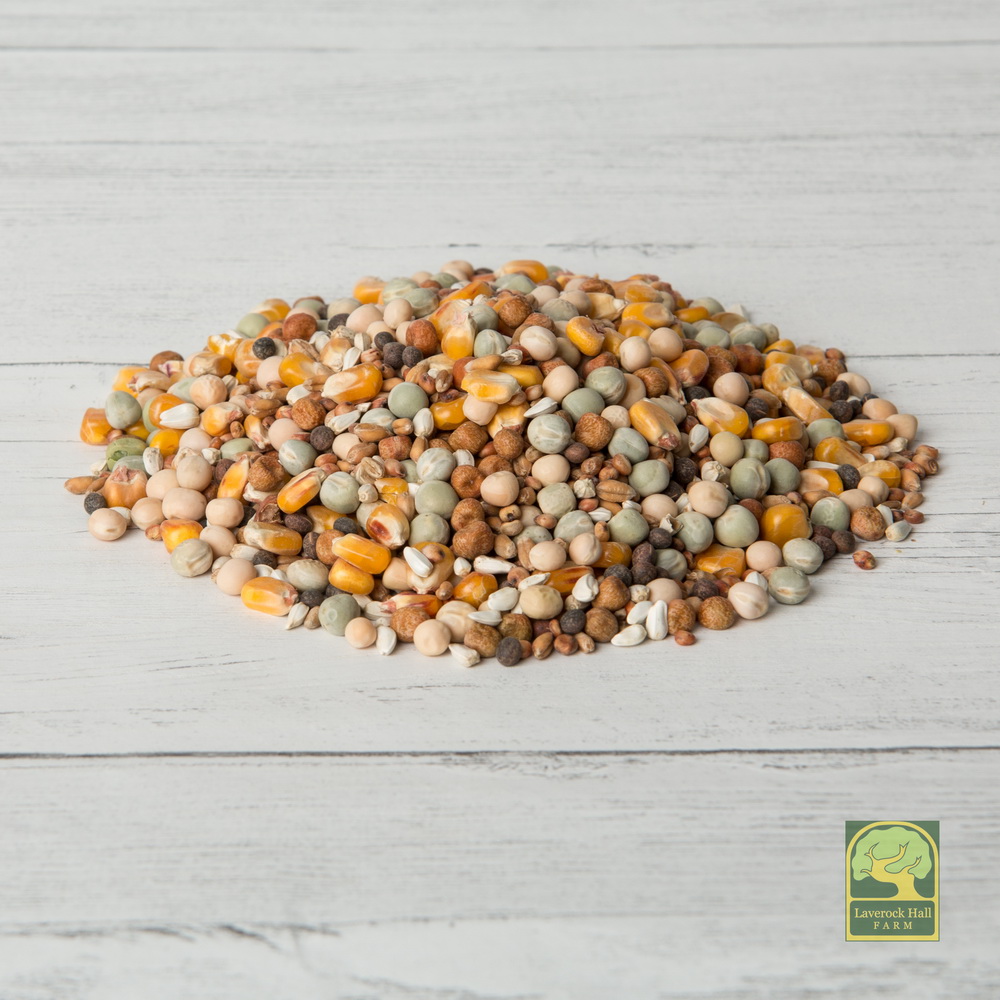 breeding-mix-pigeon-food.jpg_product_product Laverock Bird food - Breeding-1